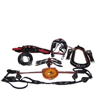 gypsy_harness_with_shoe_buc